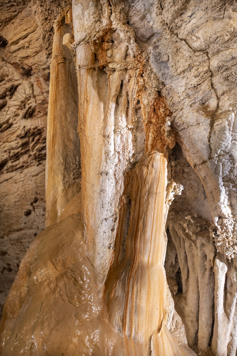 Bonito - Photo by Hudson Garcia (9)